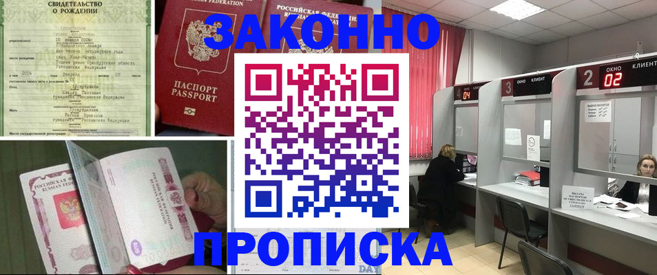 прописка в квартире в Палласовке